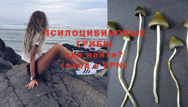 спиды Алексеевка