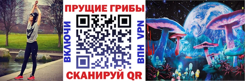Псилоцибиновые грибы Psilocybe  Михайловск 